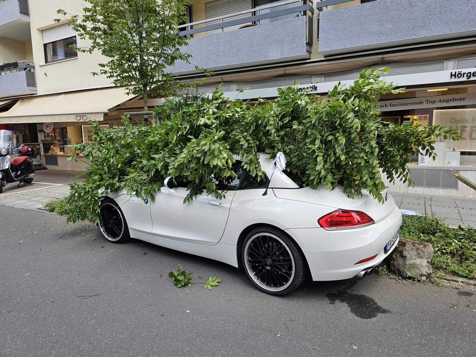 Bad Kissingen: Frau stößt gegen Auto und fährt Baum um