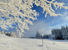 Winter in der Rhön