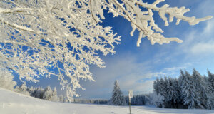 Winter in der Rhön