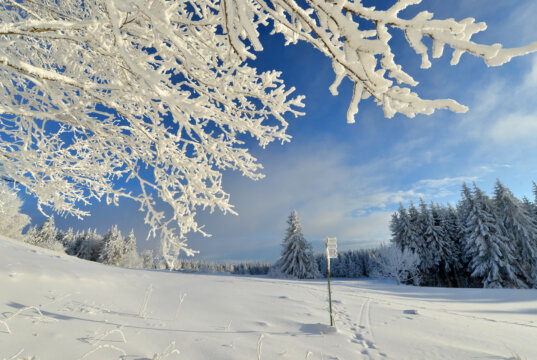 Winter in der Rhön