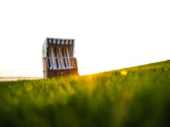 brown wooden house on green grass field during daytime