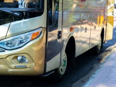 white and brown bus