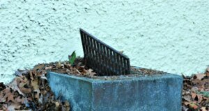 a metal grate sitting on top of a pile of leaves